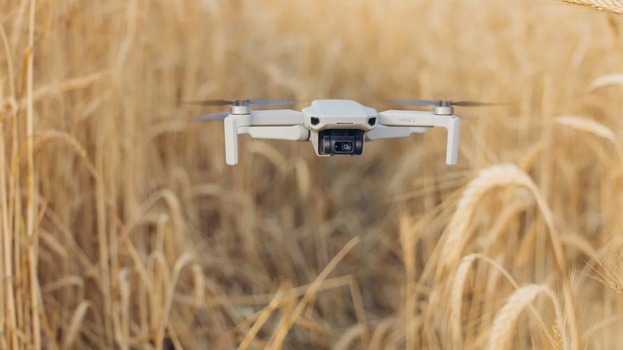 Zion National Park Drone Laws 2026: Ban Details & Nearby Options